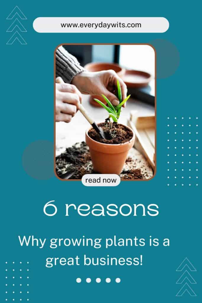 6 Reasons why growing plants is a great business